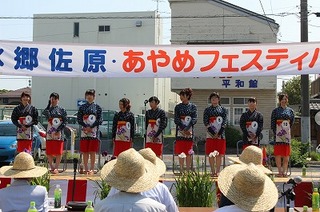 H26あやめフェスティバル (53).jpg