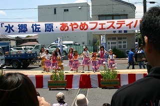 IMG_2592.jpg