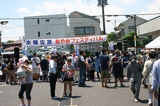 IMG_2593.jpg